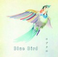 Gambar Blue Bird