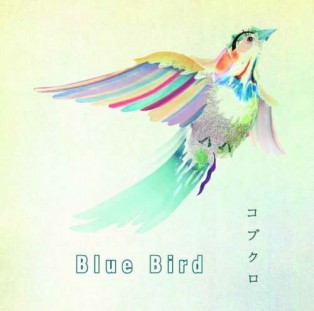 Gambar Blue Bird