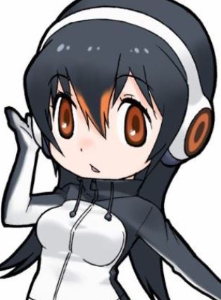 Gambar Gentoo Penguin 