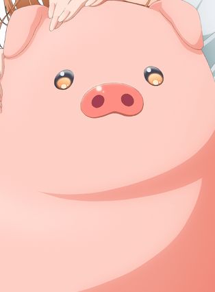  豚の画像