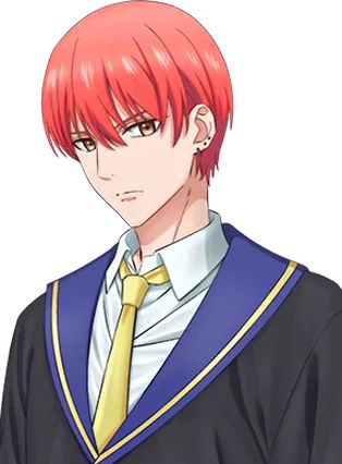 Gambar Castor Gemini