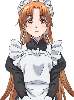 セイルーンの画像