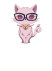 Gambar Momo