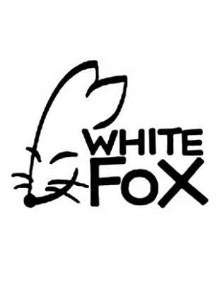 WHITE FOXの写真