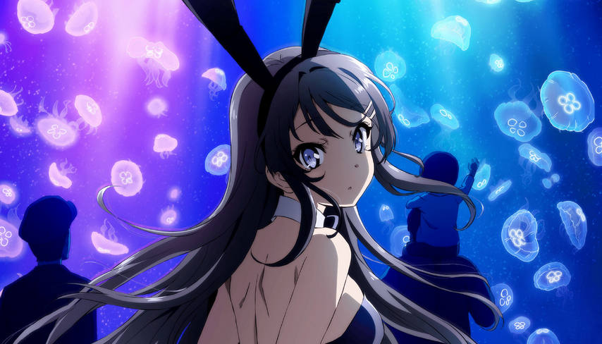 Gambar “Seishun Buta Yarou” Ungkap Visual dan Staf Animenya